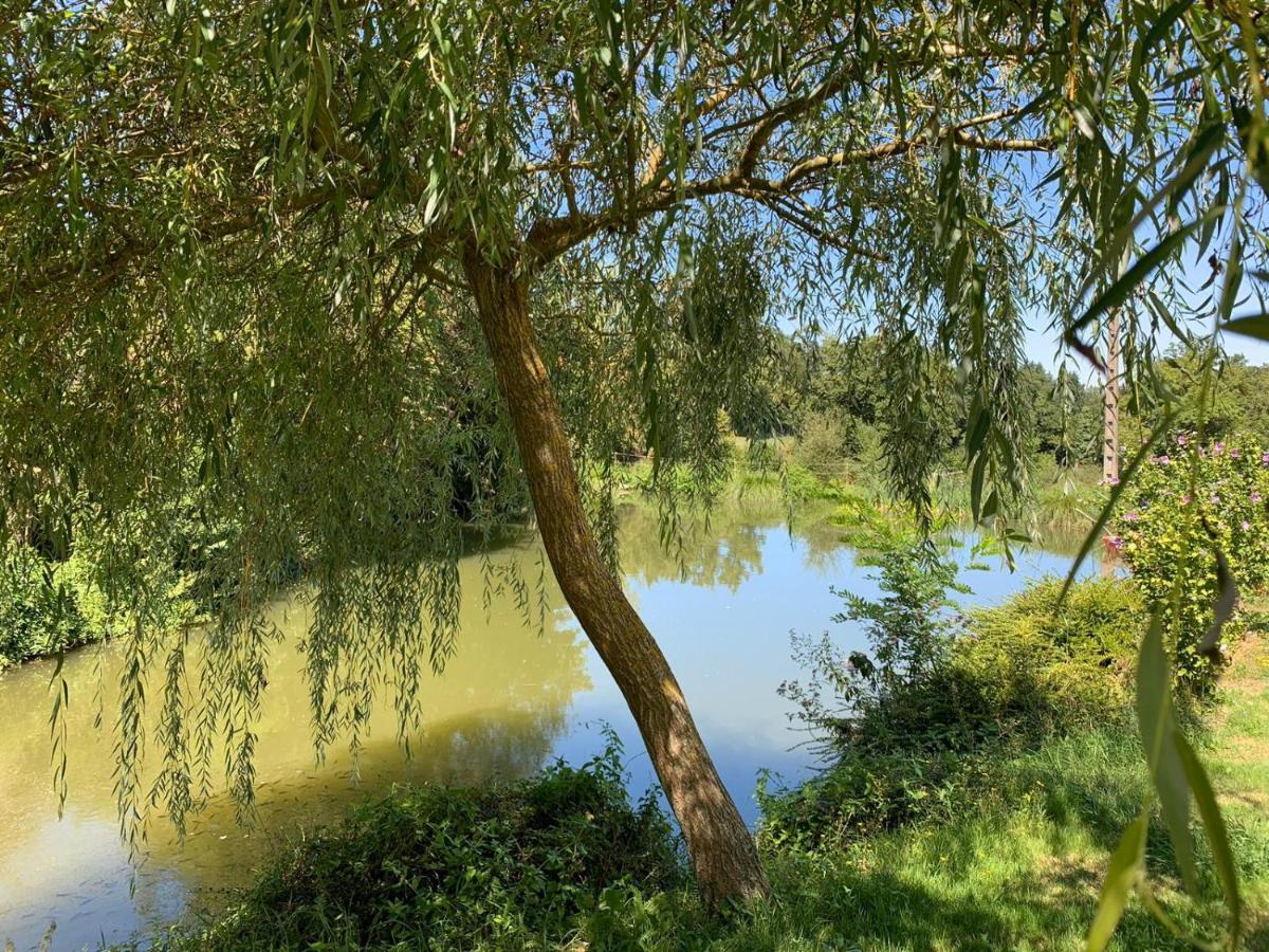 La Maison Rouzies La Bastide-l'Eveque Exteriör bild